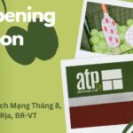 Giải đấu Pickleball ATP Lần 3